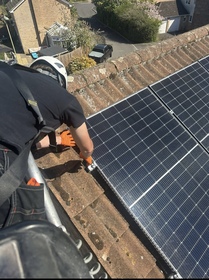 Bird proofing for solar panels and buildings. image